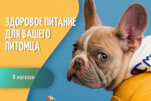 "Funtik" питание для животных