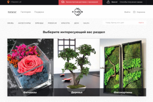 Дизайн интернет магазина