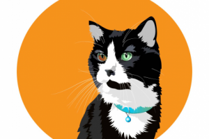 Портрет кота