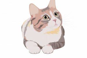 Портрет кошки