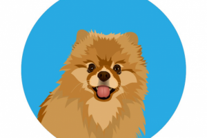 Портрет собачки