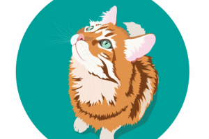 Портрет кота