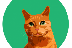 Портрет кота