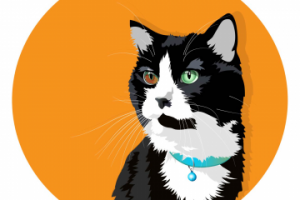 Портрет кота