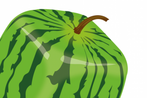 Отрисовка в векторе "Квадратный арбуз"