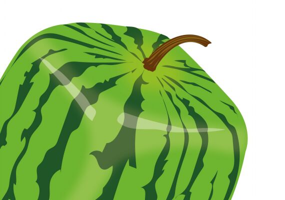 img3680519.png