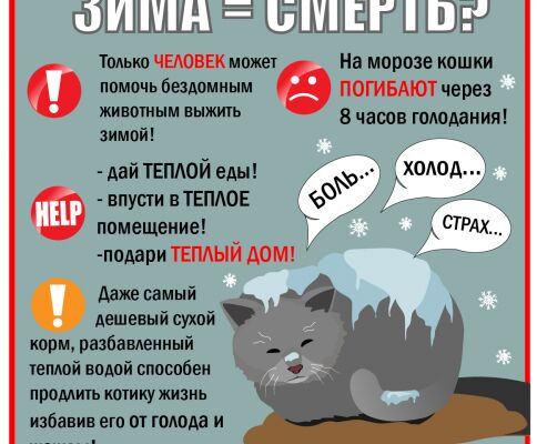 img3785024.png