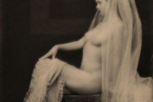 Работа 3686865