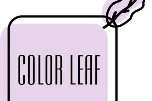 Логотип для магазина женского белья