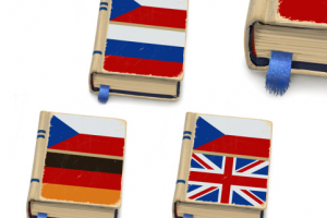 Иконка словаря для мобильного сервиса перевода