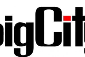 Марка аккумуляторов.