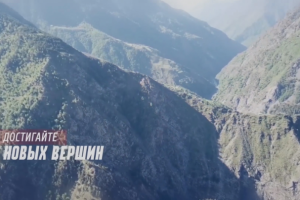 Работа 3567776