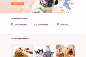 Груминг салон