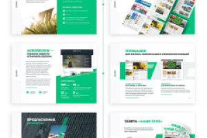 Медиа-группа аграрной тематики