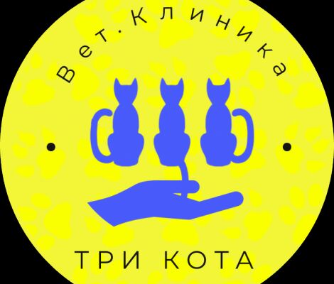 img4226445.png
