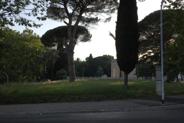 Фотография 1