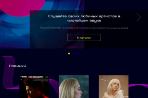 Интернет магазин виниловых дисков