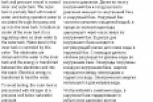 Process and functional description