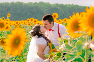 Подсолнухи )