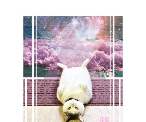 img3271728.png