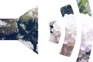 Работа 3271738