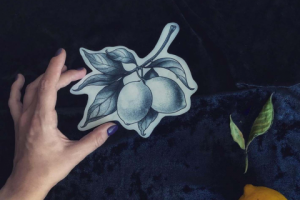 Иллюстрация- лимоны