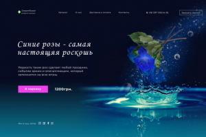 Landing Page for florist shop