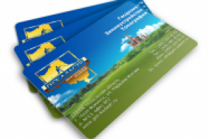 Визитки для ООО "Геокадастр"