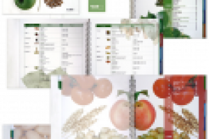 Каталог препаратов BASF