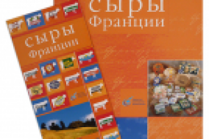 Буклет и Проспект