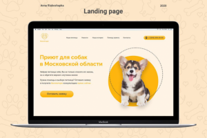 Приют для собак