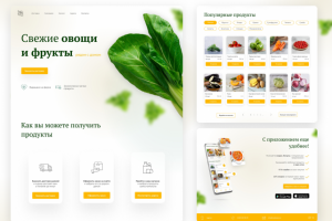 Дизайн  страницы для магазина эко продуктов
