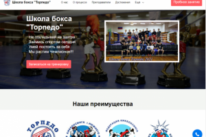 Контекстная реклама Яндекс Директ, Гугл Аддвордс