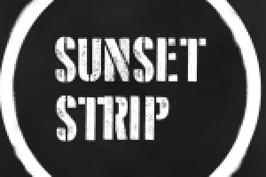 Sunset Strip Rock`n`Roll Party - ведение и развитие Вконтакте