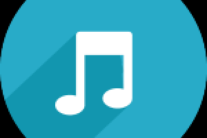 Расшифровка аудиозаписи