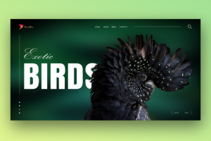 Первый экран с WOW - эффектом