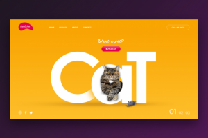 Первый экран с WOW - эффектом