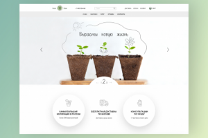 Магазин комнатных растений