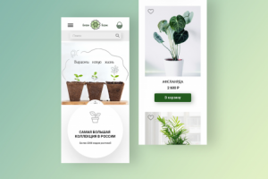 Магазин комнатных растений