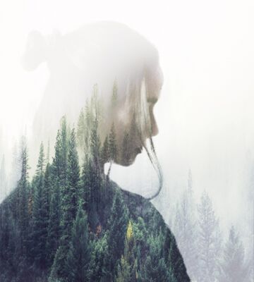img4229917.png