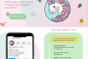 Лендинг для франшизы