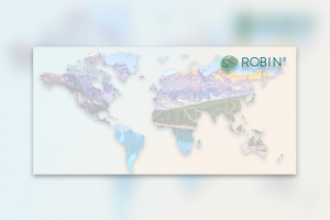 Шапка для Linkedin — профессиональная сеть