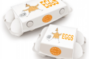 Работа 2872449