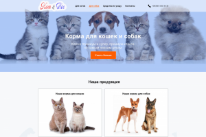 Дизайн магазина Зоотоваров