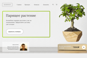 ZenPot_Интернет-магазин парящих растений