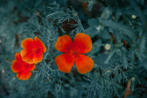 Работа 3848339