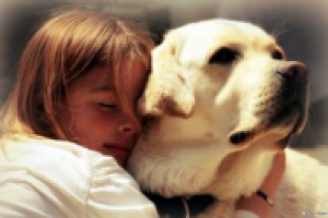 Жизнь с собакой или..?