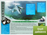 img38900.png