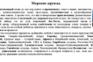 Морские круизы – Веб-контент для сайта