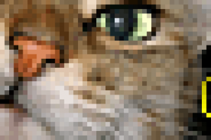 Банер2  ZooClub